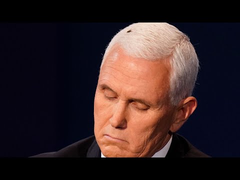  / YouTube Fly lands on Mike Pence 39 1602161075.jpg...